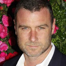 synchronsprecher_ray_donovan_ray_donovan