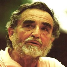 synchronsprecher_vittorio_gassman